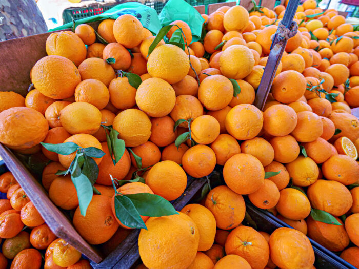 CVS_20230212_Orangen