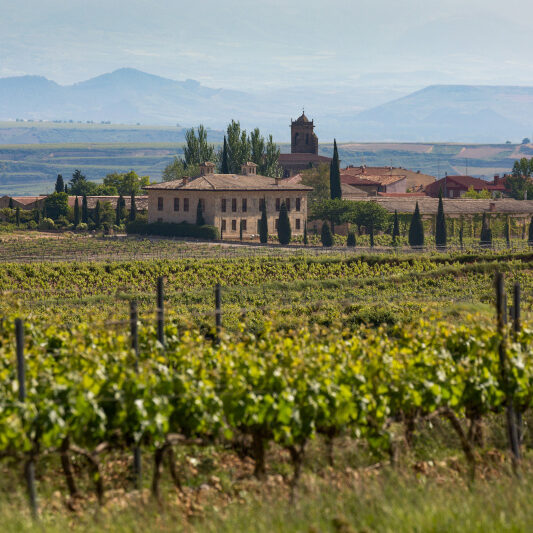 Weingut umgeben von Weinreben mit Gebirge im Hintergrund