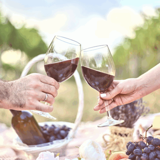 Männlicher und weiblicher Arm stoßen mit Rotwein über Picknick zwischen Rebstöcken an